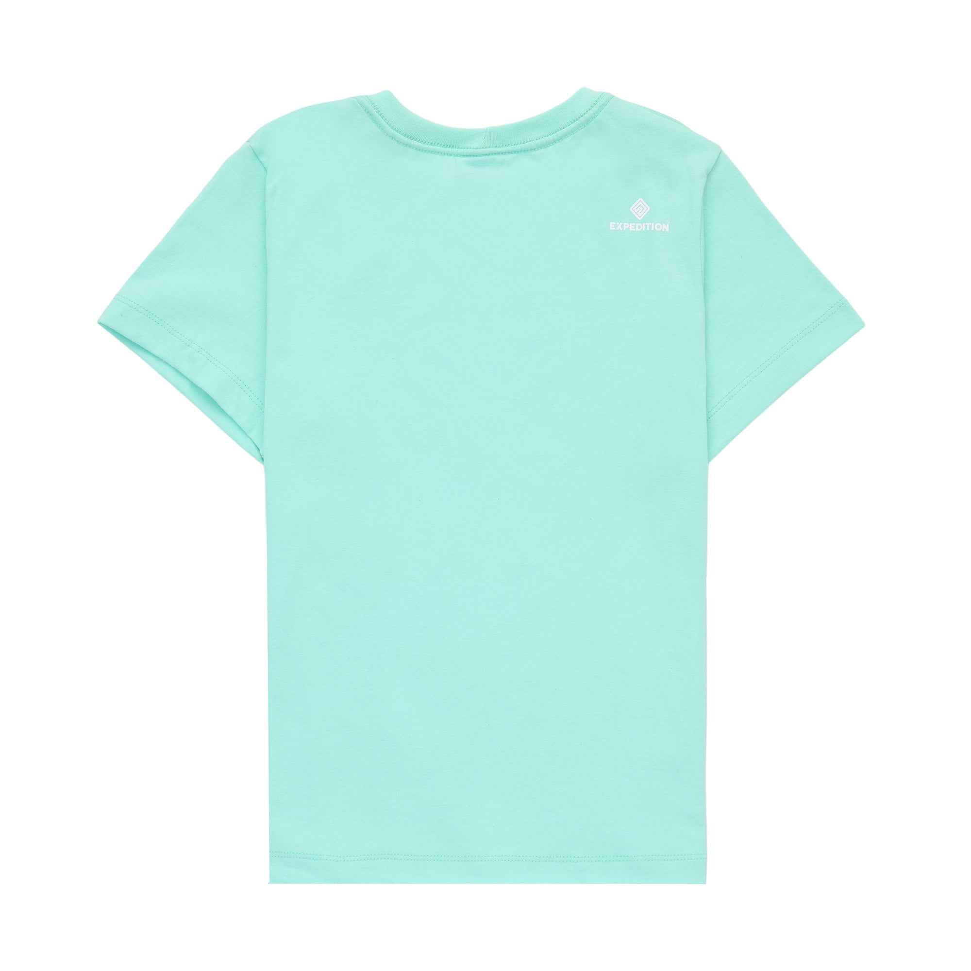 Camiseta Feminina Explore More Verde Claro