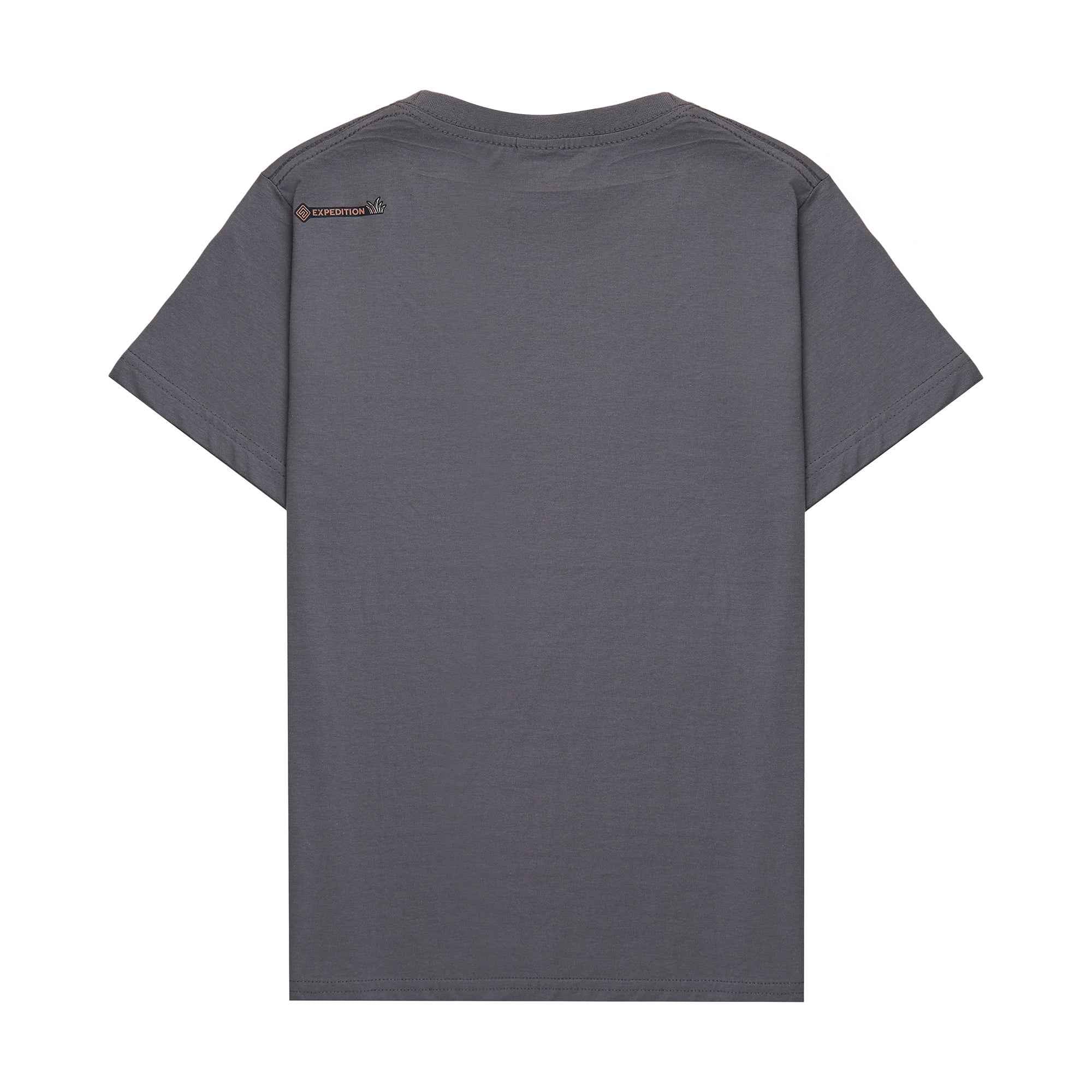 Camiseta Alive  Algodão Feminino Cinza